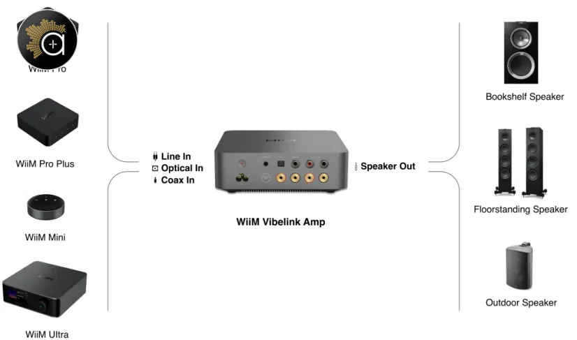 WiiM Vibelink AMP