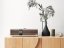 Ruark R410 - elegance a výtečný zvuk