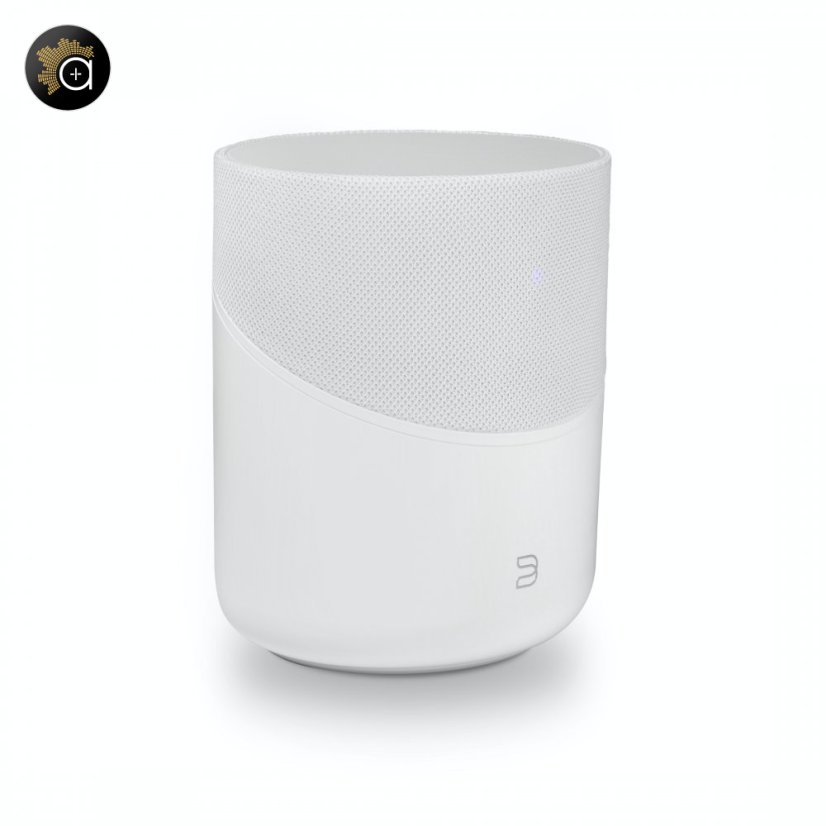 Bluesound Pulse M