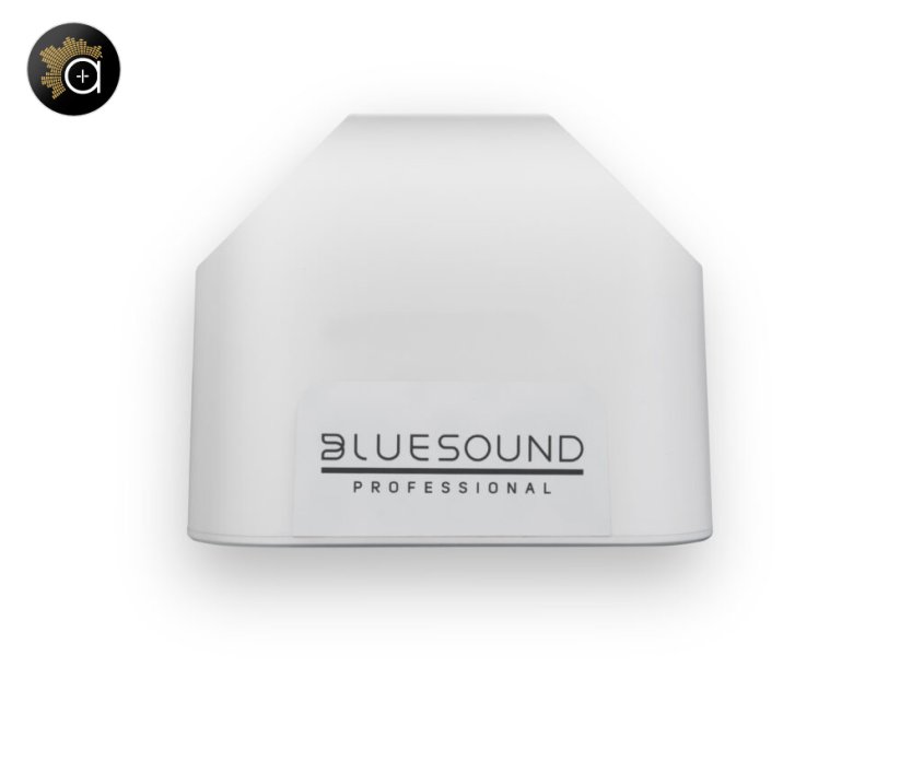 Bluesound Professional BSP200