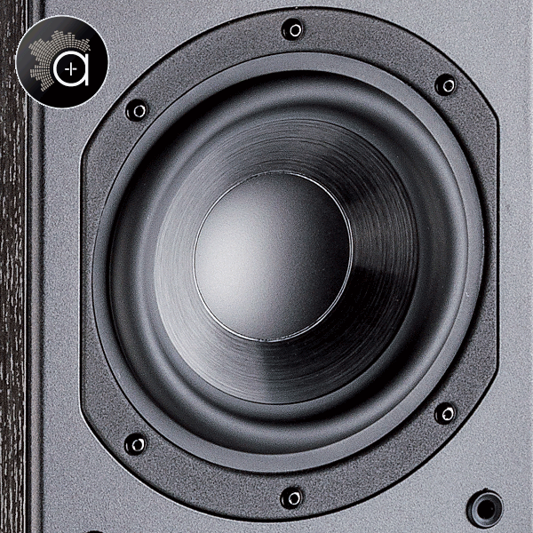 Indiana Line Nota 550 X