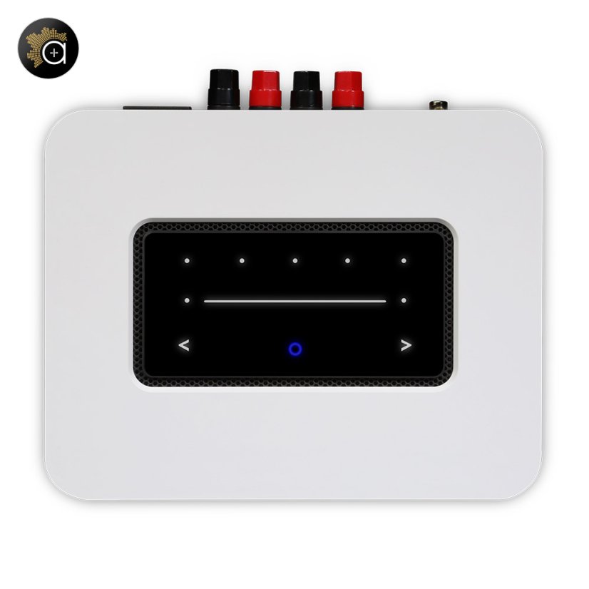Bluesound Powernode 3. generace