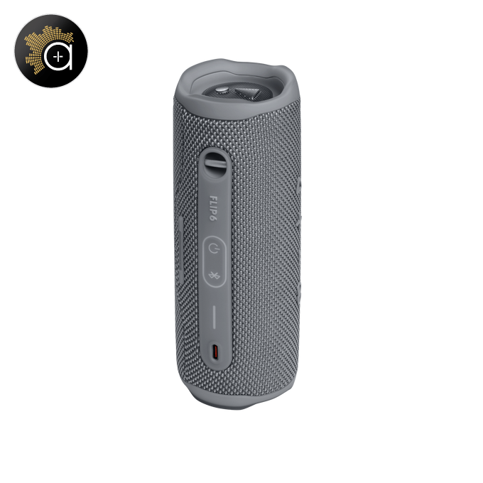 JBL Flip 6