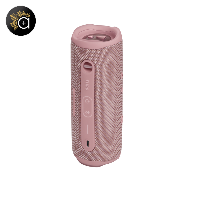 JBL Flip 6
