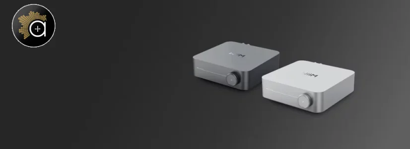 WiiM AMP Pro