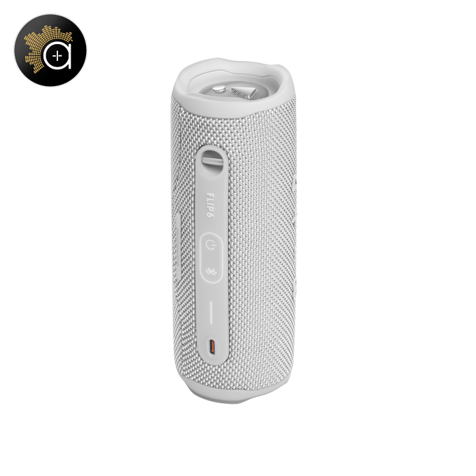 JBL Flip 6