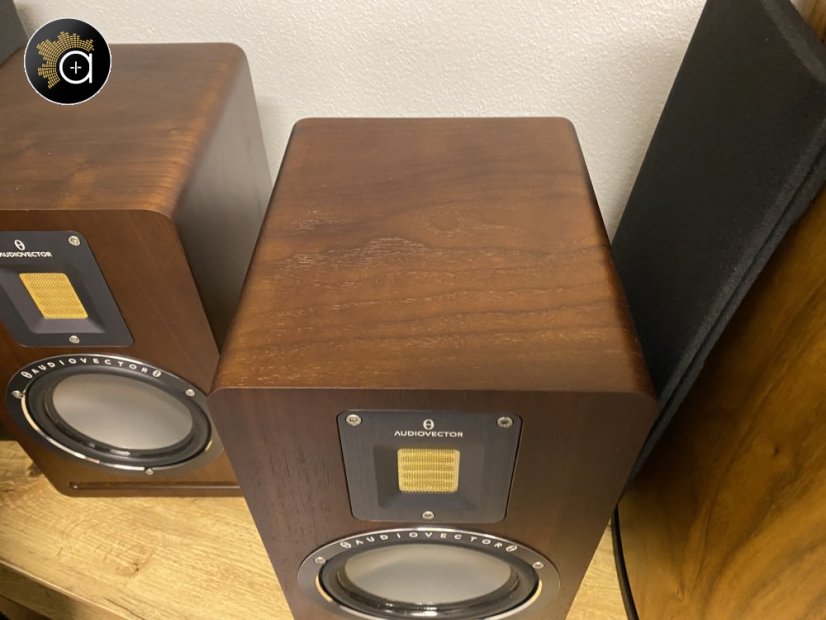 Audiovector QR 1 - walnut - demo pár ze studia