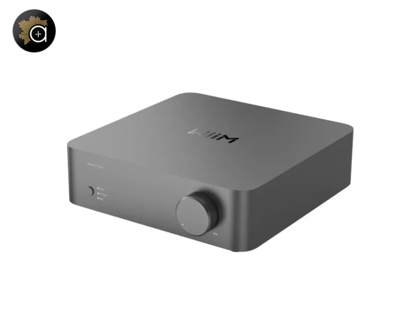 WiiM Vibelink AMP