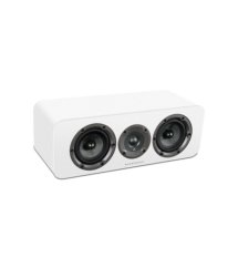 Wharfedale D300c