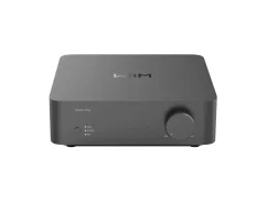 WiiM Vibelink AMP