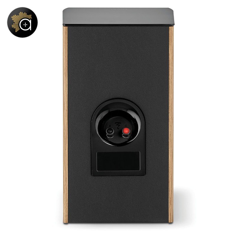 Focal Aria Evo X N°1