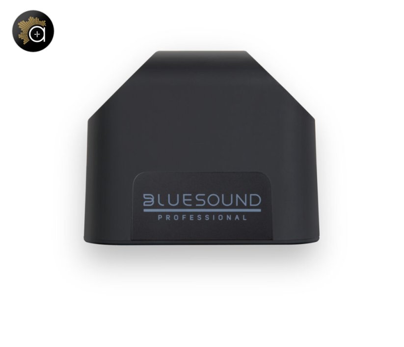 Bluesound Professional BSP200