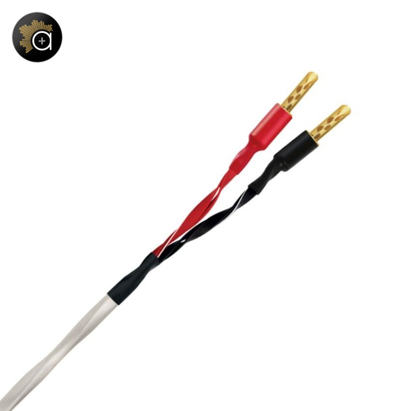 Wireworld Luna 8 (LUS) – BAN/BAN