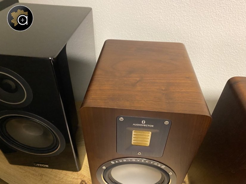 Audiovector QR 1 - walnut - demo pár ze studia