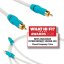 Chord C-Line 2RCA-2RCA