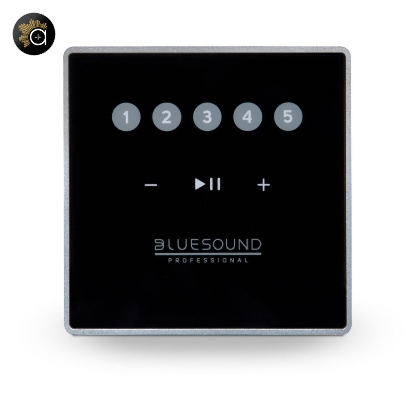 Bluesound Professional CP100 - nástěnný ovladač pro BluOS
