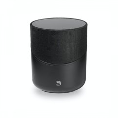 Bluesound Pulse M