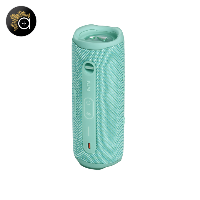 JBL Flip 6