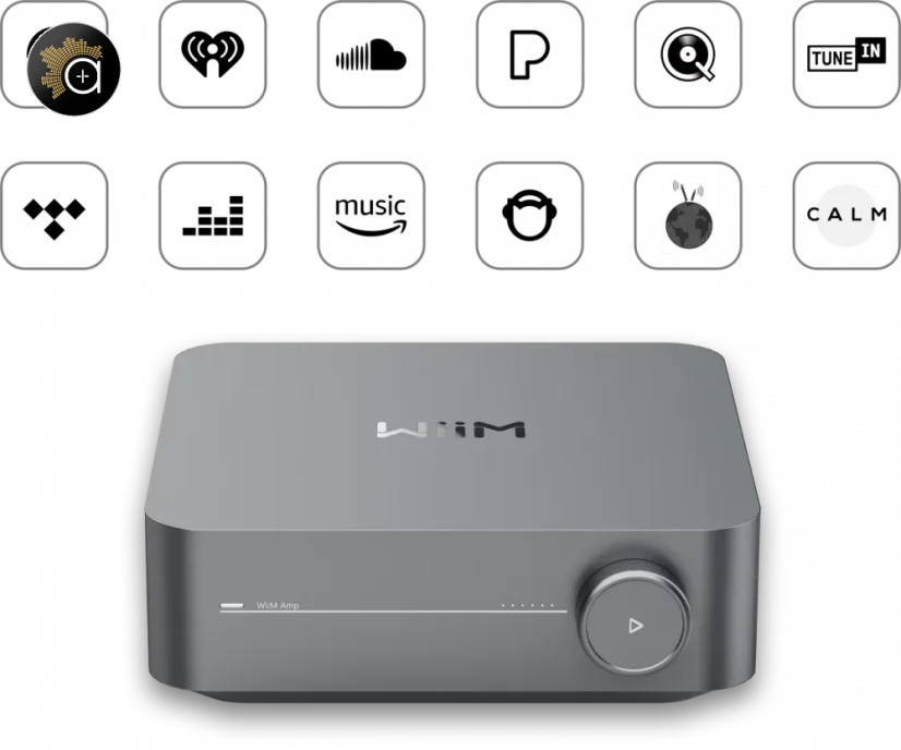 WiiM AMP Pro