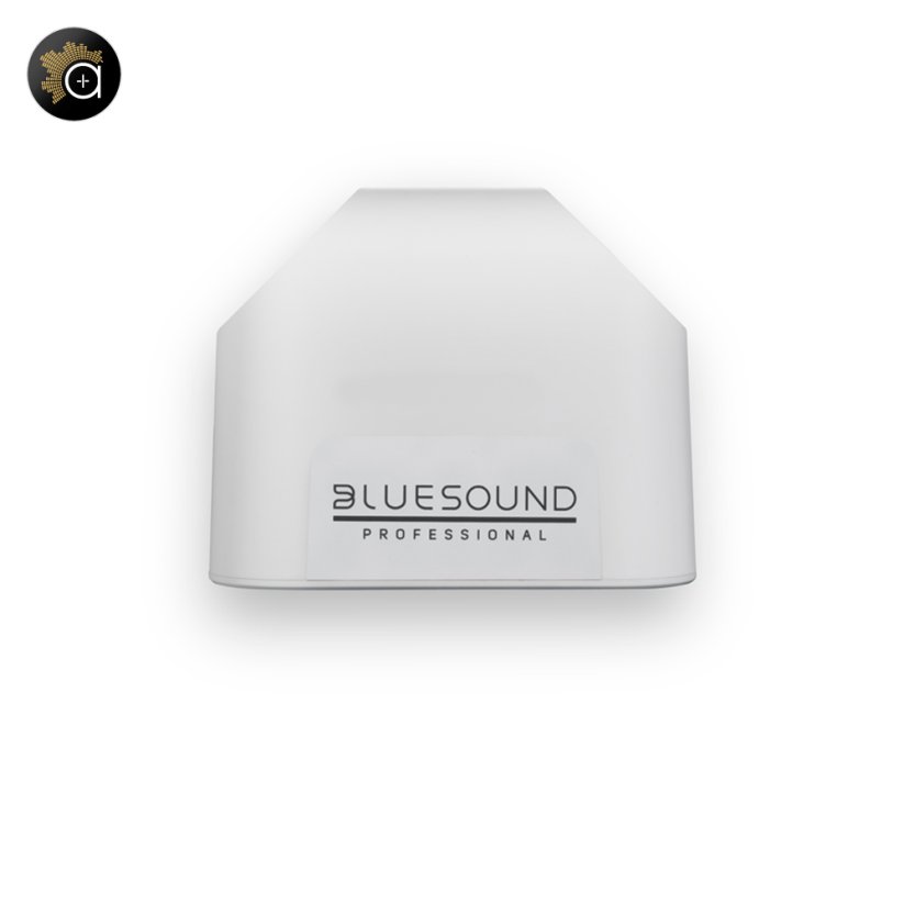 Bluesound Professional BSP125