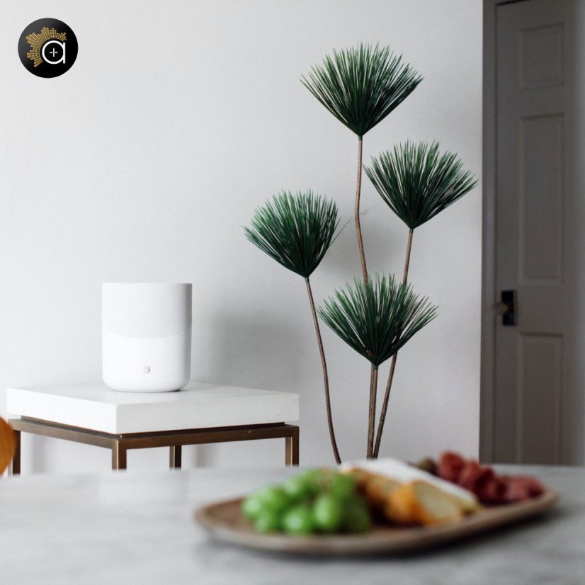Bluesound Pulse M