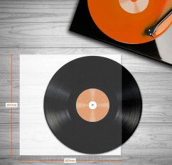 Spincare Audiophile (set 100 ks), 12” Inner Sleeves