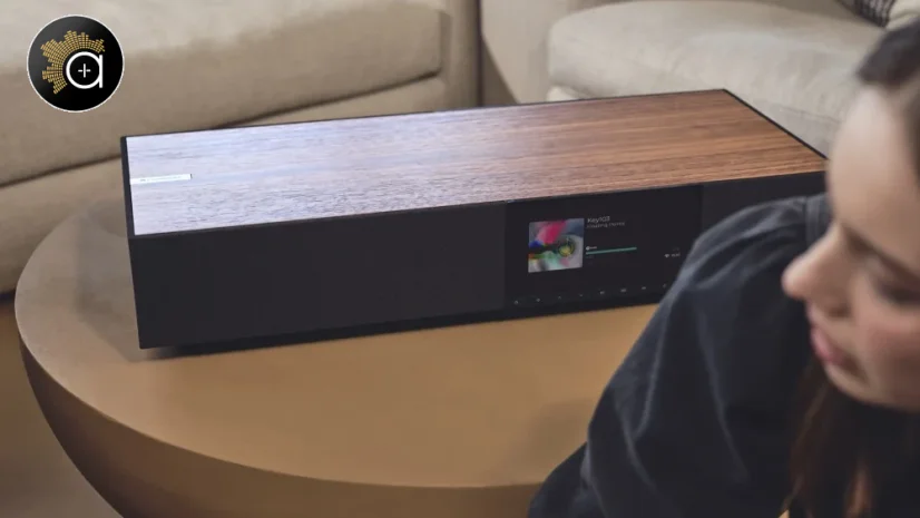 Cambridge Audio EVO ONE