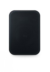 Bluesound Professional BSP200