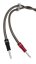 Chord Epic XL