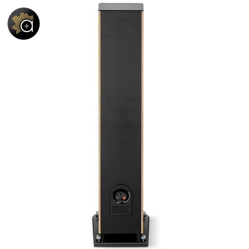 Focal Aria Evo X N°3