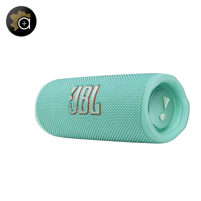 JBL Flip 6