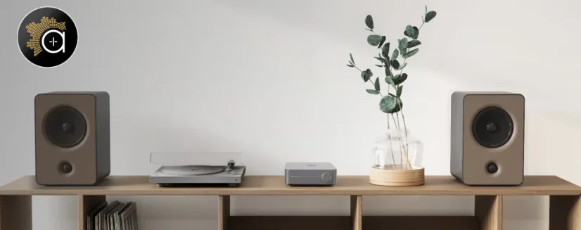 WiiM AMP Pro