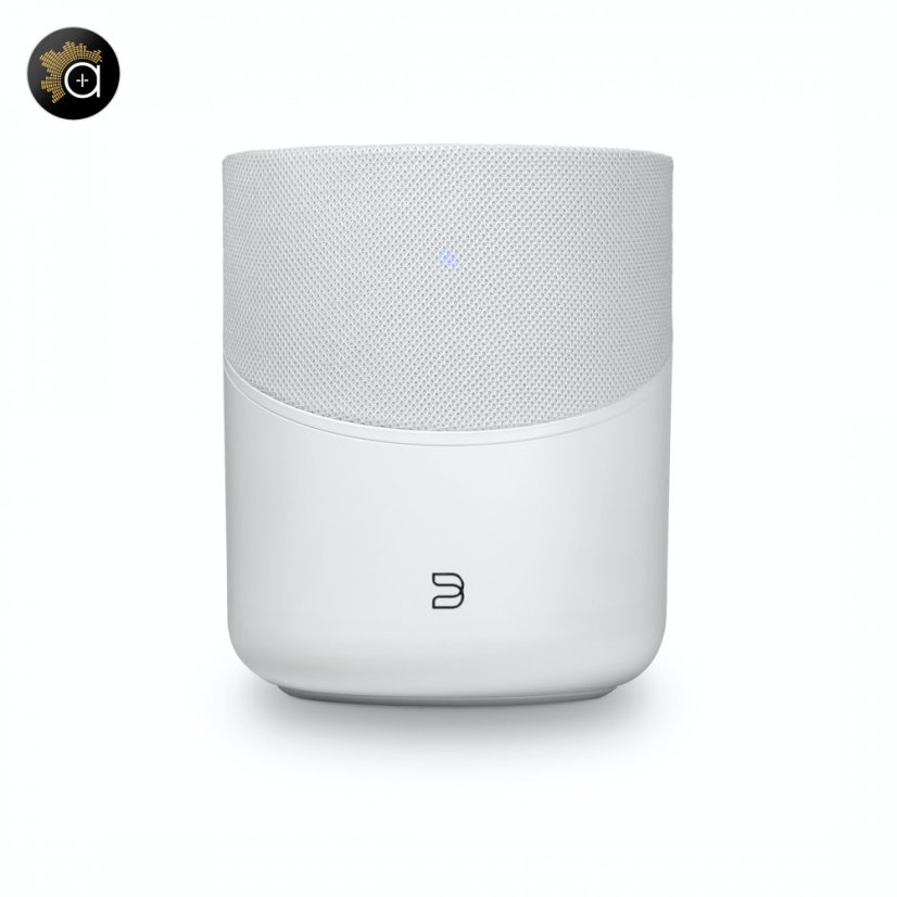 Bluesound Pulse M