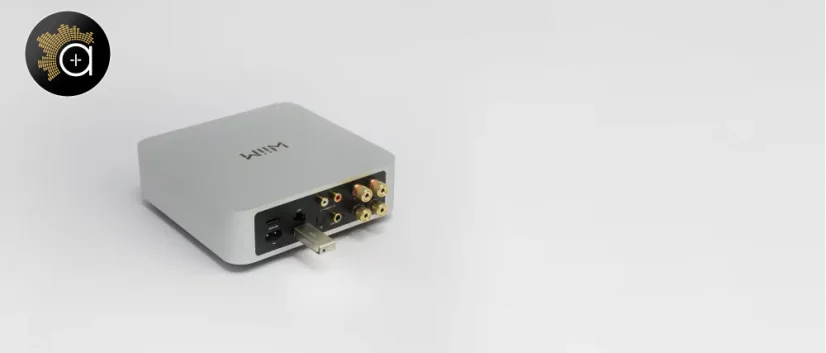 WiiM AMP Pro