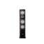 Canton Vento 80 - dynamika v elegantnim tvaru - Barva: Dark walnut high gloss