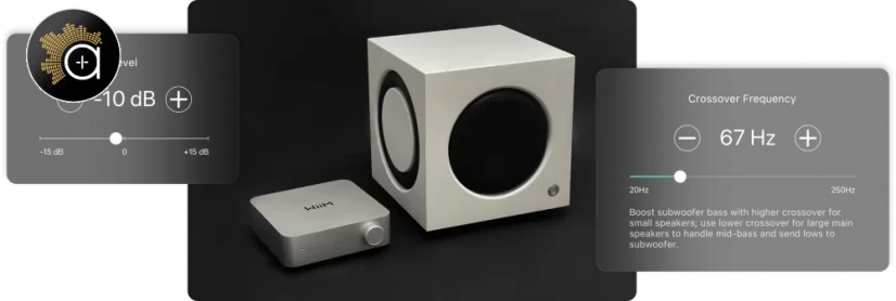 WiiM AMP Pro