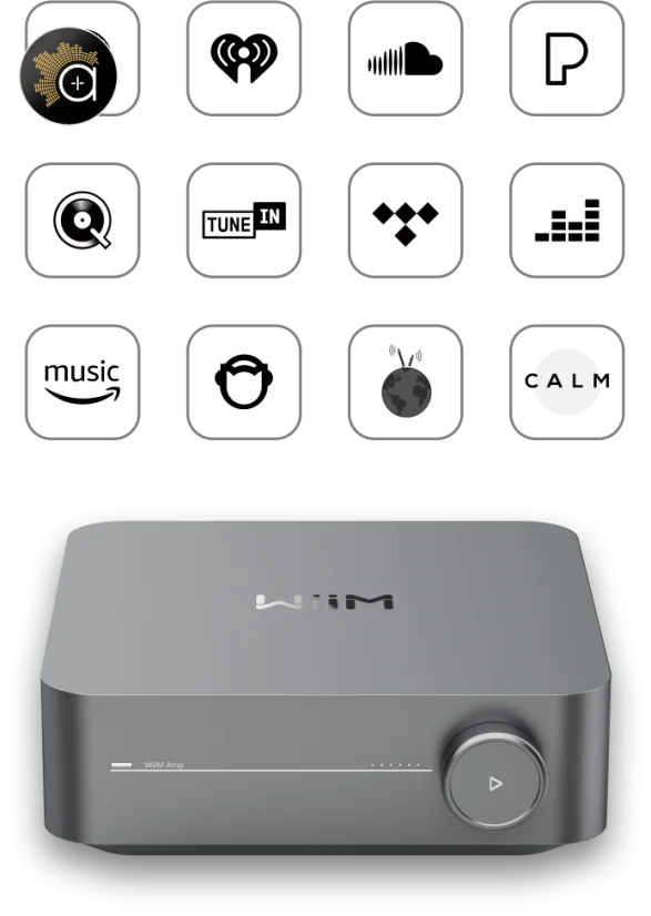 WiiM AMP Pro