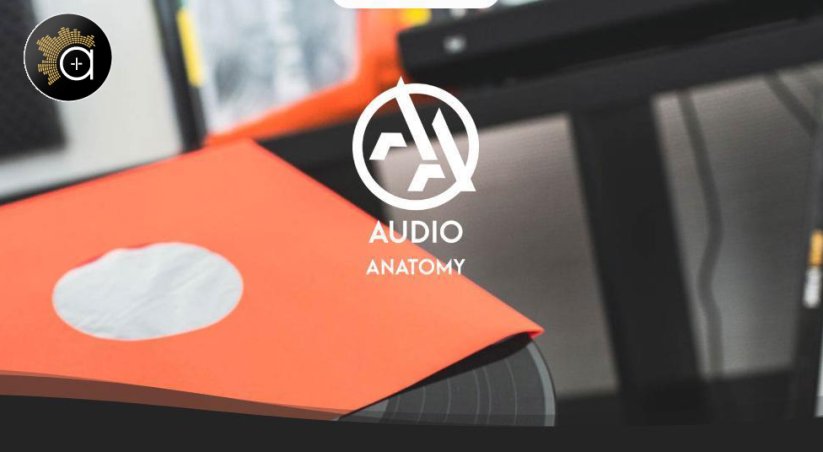 Audio Anatomy 12” Inner Sleeves, 25 ks (červené)
