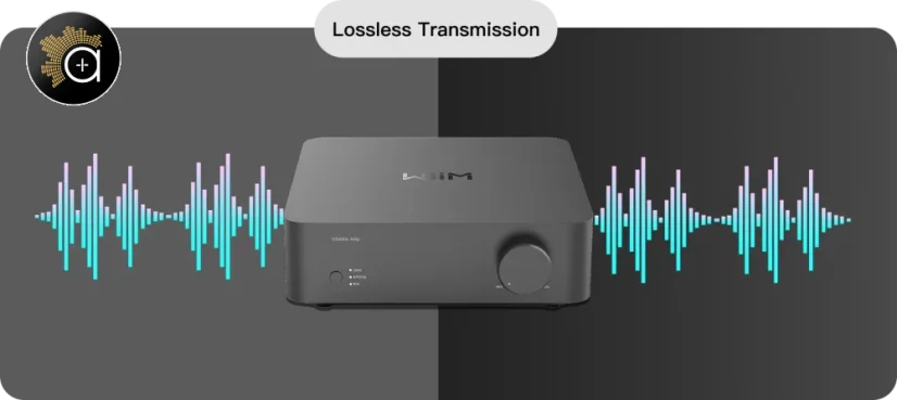 WiiM Vibelink AMP