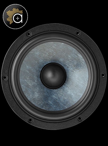 Focal Vestia N°1