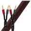 Audioquest Rocket 33 FR