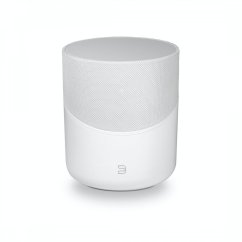 Bluesound Pulse M