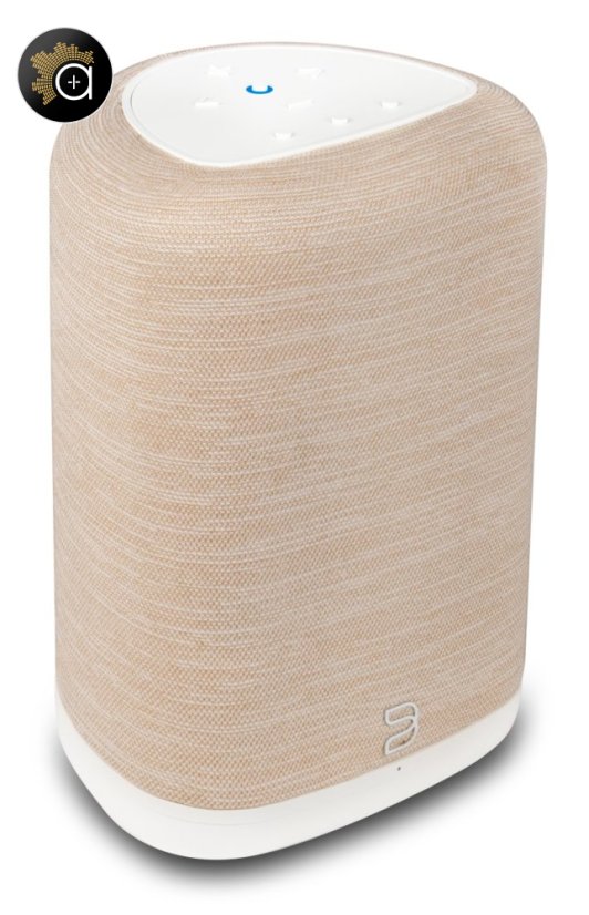 Bluesound PULSE FLEX