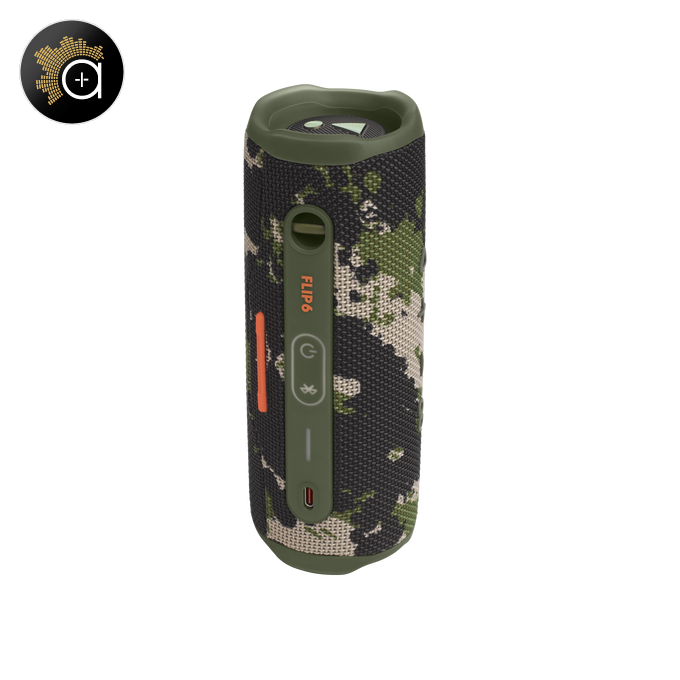 JBL Flip 6