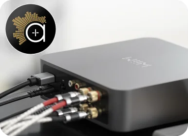 WiiM AMP Pro