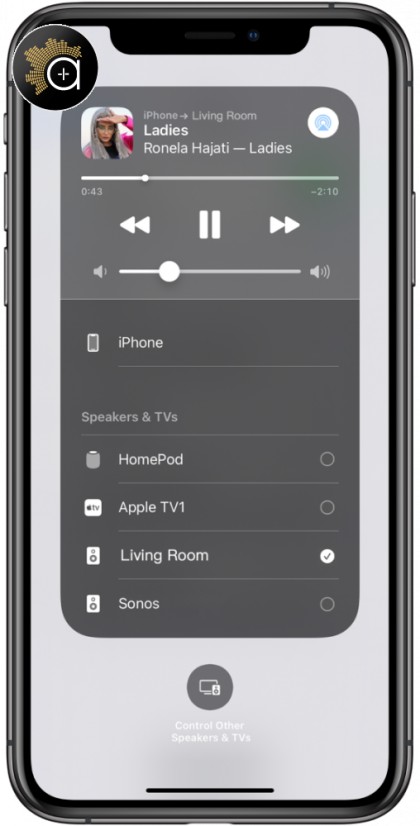 WiiM Pro Plus - minimalistický streamer s podporou AirPlay 2 a Chromecast