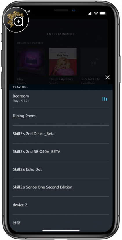 WiiM Pro - minimalistický streamer s podporou AirPlay 2 a Chromecast