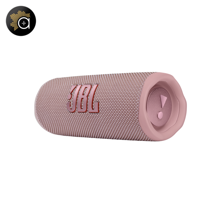 JBL Flip 6