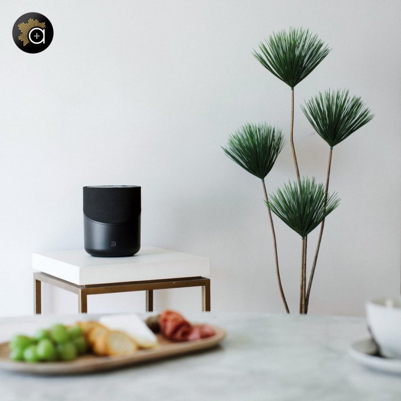 Bluesound Pulse M