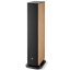 Focal Aria Evo X N°3